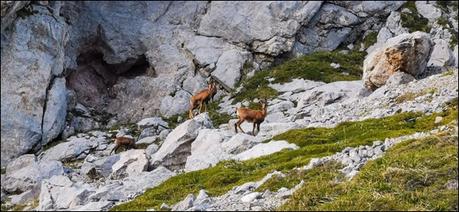 Trekking Fuente Dé-Collado Jermoso