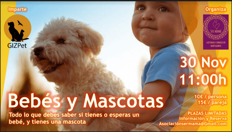 Taller sobre ” Bebes y Mascotas” organizado por la Asociación Ser Mamá