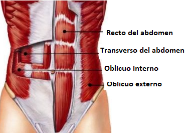 Uno de los objetivos más comunes que nos encontramos en l...