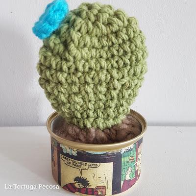 CACTUS THREE CACTUS THREE