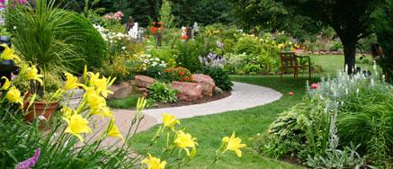 Cómo es la asociación de cultivos - Son 3 trucos y entendés todo  @cosas...