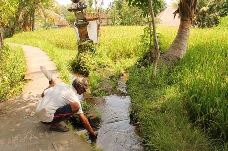 ¿Cómo encontrar buena información de viajes en Internet? Te damos algunos consejos paisaje-indonesia