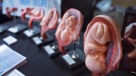 Las etapas de un feto se muestran en la mesa Right to Life de Illinois, mientras que el candidato presidencial republicano y ex gobernador de Arkansas Mike Huckabee habla en el Instituto Freedom's Journal para el Estudio de Fe y Política Pública 2015 Rise Initiative el 31 de julio de 2015 en Tinley Park, Illinois.