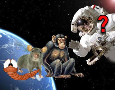 LOS HÉROES DEL ESPACIO LOS HÉROES DEL ESPACIO