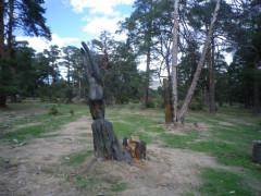 Andrés Mena, escultor de la madera viva