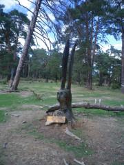 Andrés Mena, escultor de la madera viva