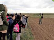 Tarabillas, avefrías, milanos buitres entre aparentemente yermo