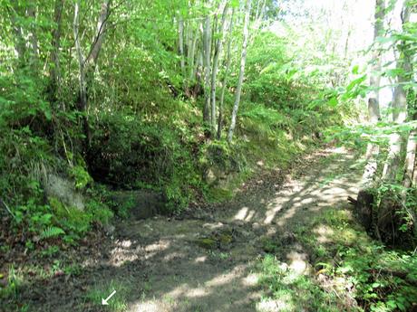 Pola de Lena-La Flor-Piedrota-Palaciós
