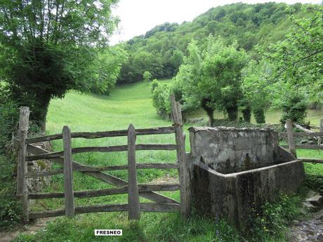 Pola de Lena-La Flor-Piedrota-Palaciós