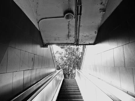 Reunión y otros relatos - Julio Cortázar