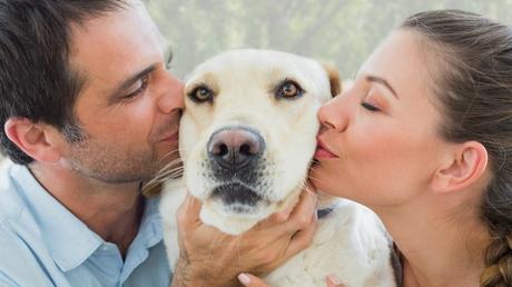 Conoce las personalidades en los perros