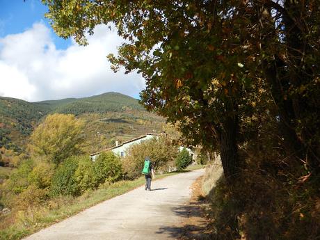 De Ribes de Freser a Querals por Fustanyà | Vall de Ribes (Girona) De Ribes de Freser a Querals por Fustanyà | Vall de Ribes (Girona)