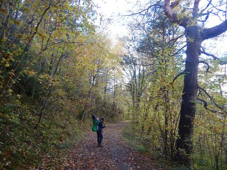 De Ribes de Freser a Querals por Fustanyà | Vall de Ribes (Girona) De Ribes de Freser a Querals por Fustanyà | Vall de Ribes (Girona)