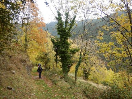 De Ribes de Freser a Querals por Fustanyà | Vall de Ribes (Girona) De Ribes de Freser a Querals por Fustanyà | Vall de Ribes (Girona)