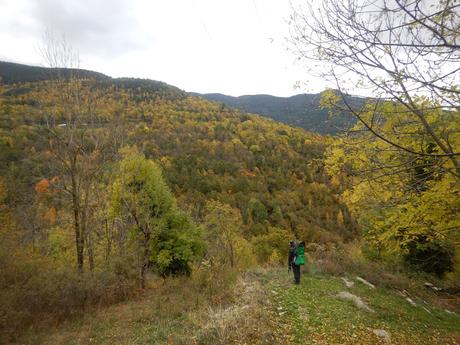 De Ribes de Freser a Querals por Fustanyà | Vall de Ribes (Girona) De Ribes de Freser a Querals por Fustanyà | Vall de Ribes (Girona)