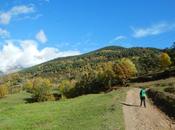Ribes Freser Querals Fustanyà Vall (Girona)