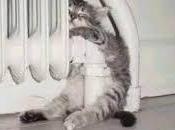 Efectos frío como luchar contra ellos