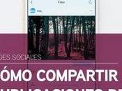 Cómo compartir publicaciones otros Instagram