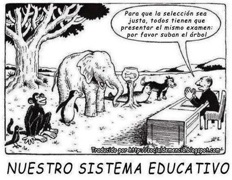 «No soy inteligente». El principal motivo por el que crees que no eres inteligente