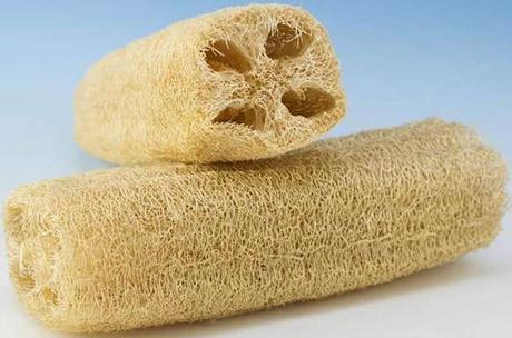 calabaza luffa