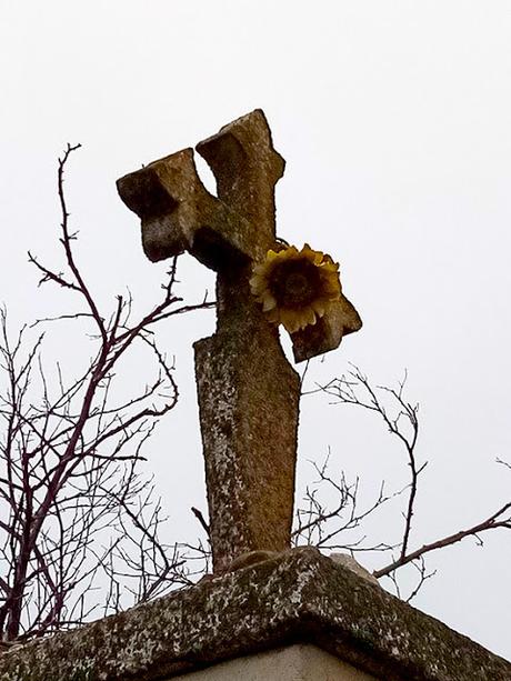 Limpieza de un tramo del Camino de Santiago, León, 2019.