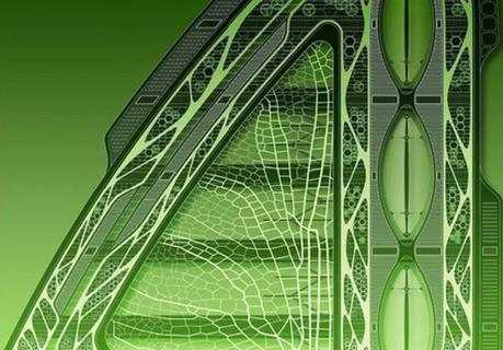 Libélula sostenible Libélula sostenible