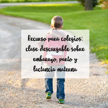 Recurso para colegios: clase descargable sobre embarazo, parto y lactancia materna Recurso para colegios: clase descargable sobre embarazo, parto y lactancia materna