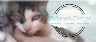 EL LENGUAJE CORPORAL EN NARRATIVA, POR KAREN MARCE