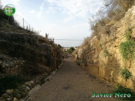 CAMINO DE TRASLADO HASTA LA PLAYA