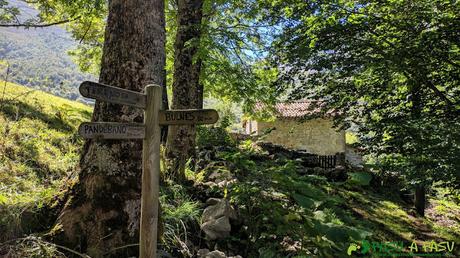 Señalización Bulnes, Pandébano