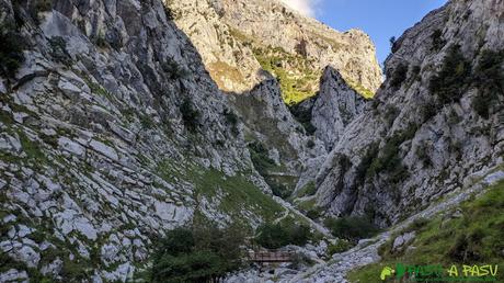 Puente sobre el Río Bulnes en la Canal del Texu