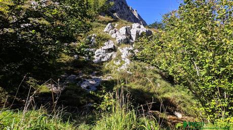 Arroyo Canero, Cabrales