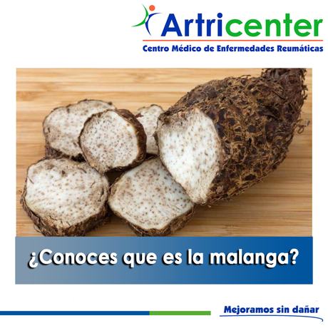 Artricenter: ¿Conoces que es la malanga?
