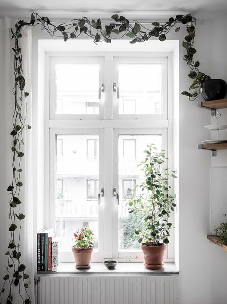 HOME TOUR ¿Te atreves a ver como cambia tu casa con plantas?