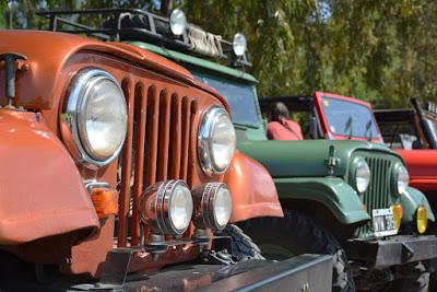 Mañana, domingo 24 de noviembre