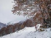 Invierno otoño