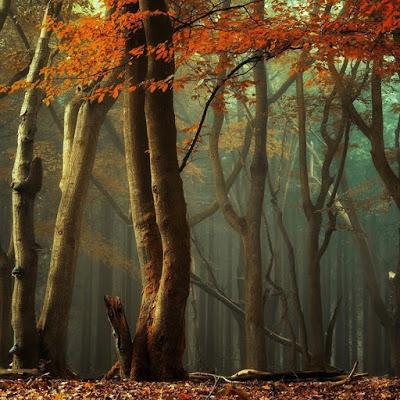 El chapucero golpe de Estado boliviano, con la Biblia y la espada. (Notas para entender la crisis política y social del país) El chapucero golpe de Estado boliviano, con la Biblia y la espada. (Notas para entender la crisis política y social del país)