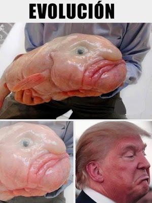 El chapucero golpe de Estado boliviano, con la Biblia y la espada. (Notas para entender la crisis política y social del país) El chapucero golpe de Estado boliviano, con la Biblia y la espada. (Notas para entender la crisis política y social del país)