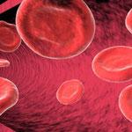 15 cosas buenas para la salud que puedes hacer en otoño 15 cosas buenas para la salud que puedes hacer en otoño