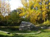 romana