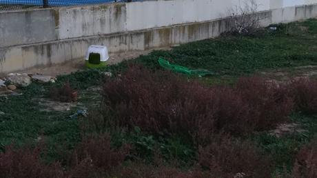 INCENDIOS,APAGONES,ROBOS EN COLEGIOS Y MÁS.