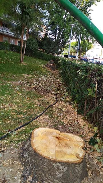 MÁS APAGONES, INTENTO DE RAPTO EN COLEGIOS,PROBLEMAS DE MOVILIDAD Y MÁS MOTOSIERRA.