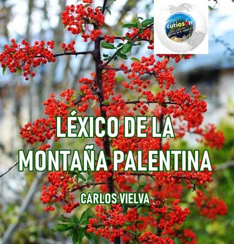 Léxico de la montaña palentina, lexicografía aplicada