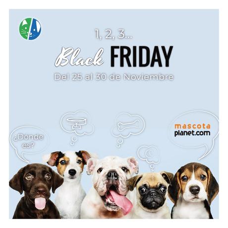 Ahorrar al máximo y aprovechar el BLACK FRIDAY de Mascota Planet