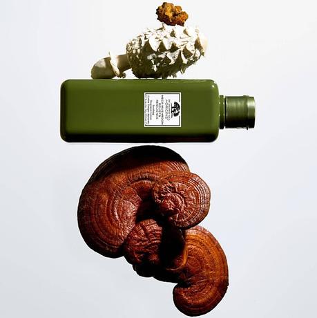 mega-mushroom-relief-resilience-soothing-treatment-lotion