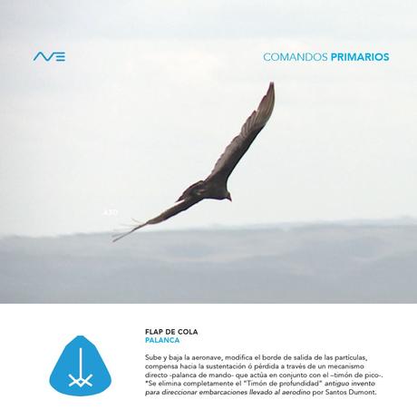 Proyecto Aura / Javier Cedrés 14