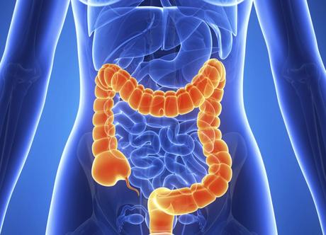 SIBO, disbiosis y microbiota intestinal