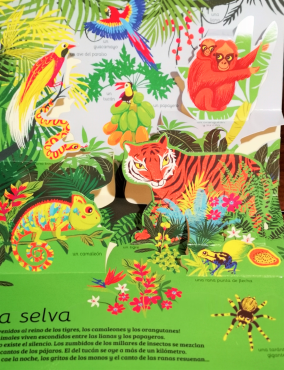 Animales de todo el mundo  (Peggy Nille).