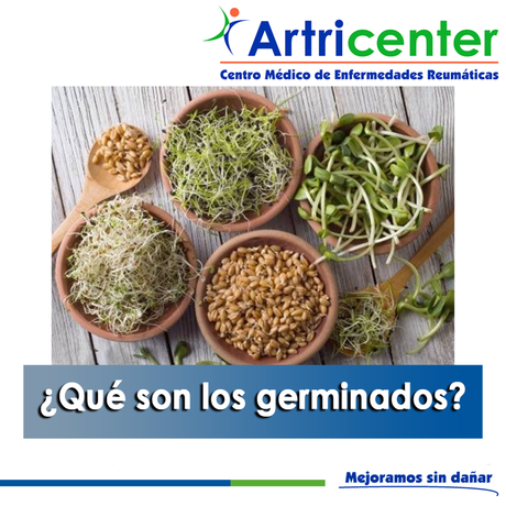 Artricenter: ¿Que son los germinados?