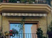 Iniciativa green friend" verde amigo mio)